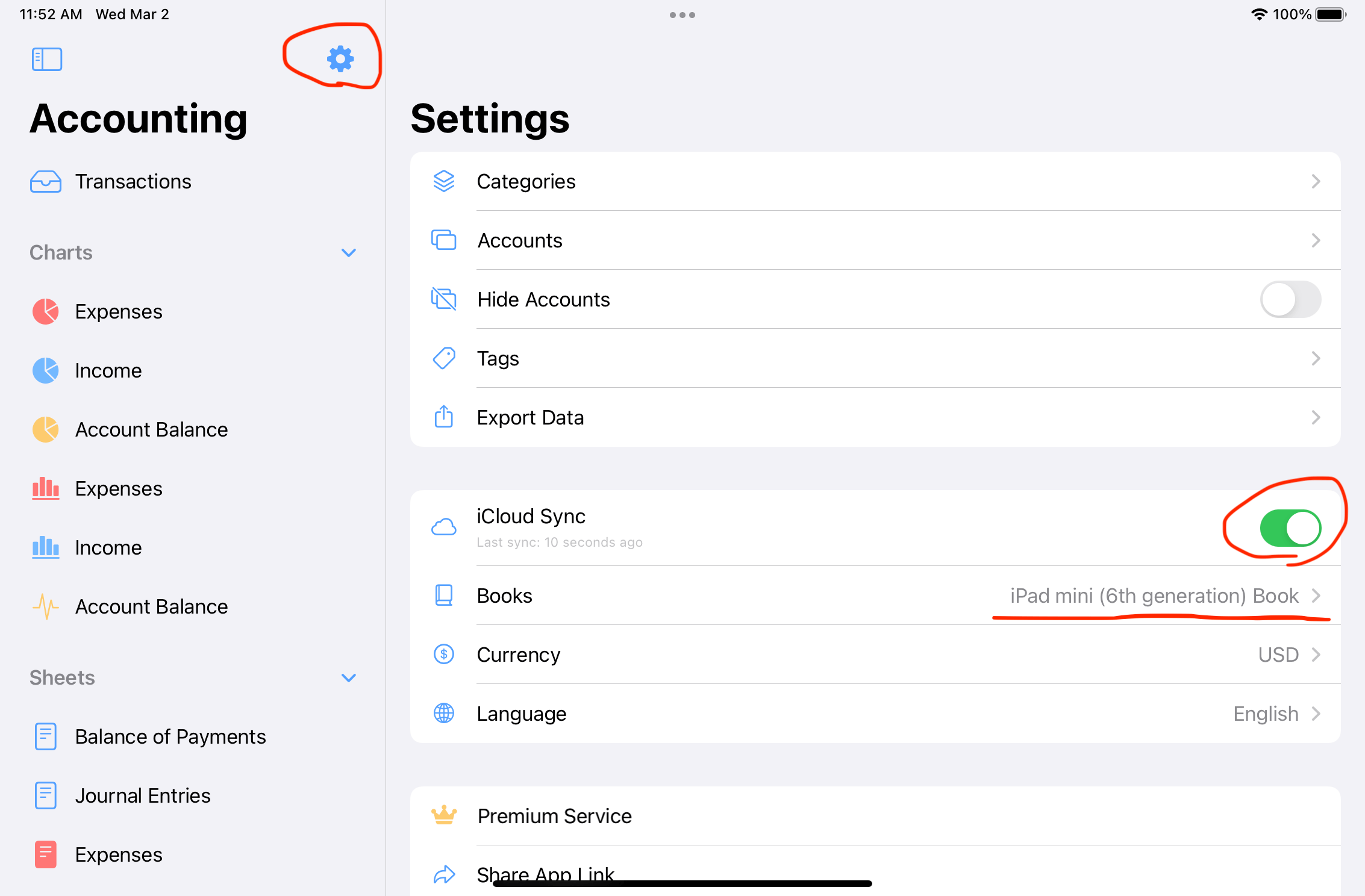 iCloud sync setting on iPad