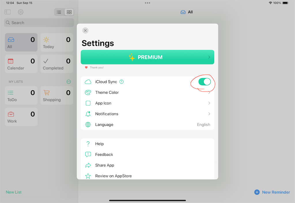 iCloud sync settings on iPad